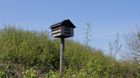 Bird box at Le Grande Bouet residential development
