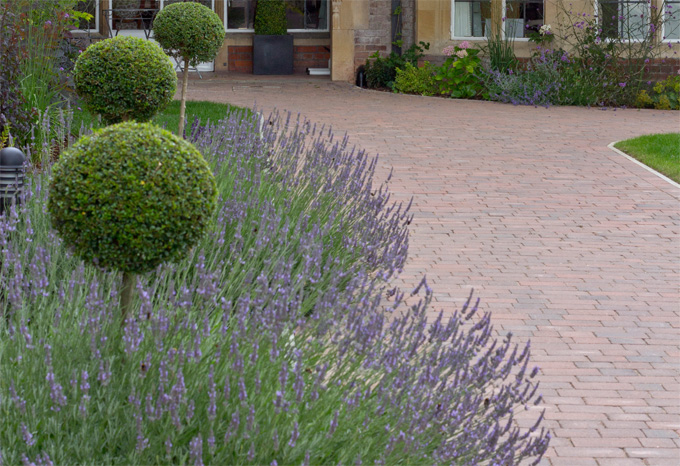 Image of planting at Croxley Green manor house 