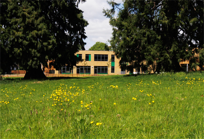 Image of Jupiter School